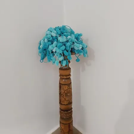 Santorini Apartament *