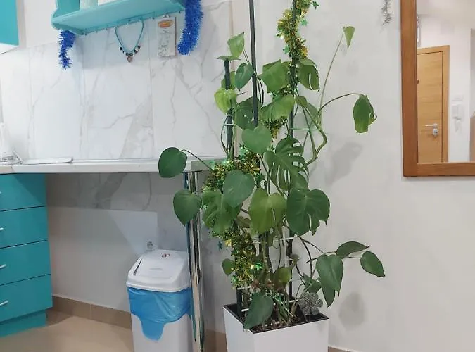 Santorini نوفي ساد