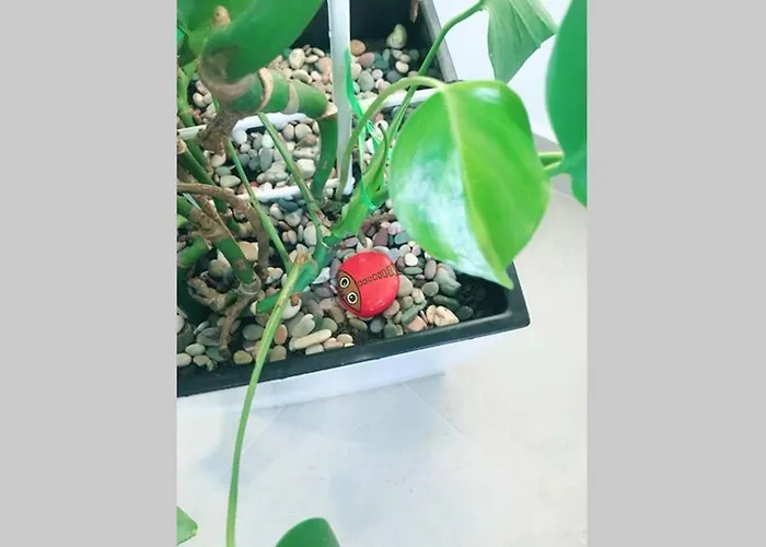 شقة Santorini نوفي ساد